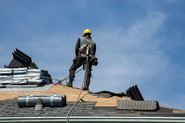Professional Roofing technician working in Hayden, CO